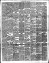 Hamilton Herald and Lanarkshire Weekly News Friday 14 April 1899 Page 5