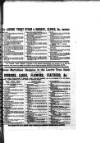 Hamilton Herald and Lanarkshire Weekly News Friday 15 February 1901 Page 13