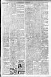 Hamilton Herald and Lanarkshire Weekly News Saturday 27 October 1906 Page 5