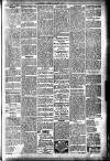 Hamilton Herald and Lanarkshire Weekly News Saturday 05 January 1907 Page 3