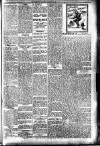 Hamilton Herald and Lanarkshire Weekly News Saturday 05 January 1907 Page 5