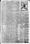 Hamilton Herald and Lanarkshire Weekly News Saturday 19 January 1907 Page 5