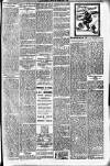 Hamilton Herald and Lanarkshire Weekly News Saturday 02 February 1907 Page 5