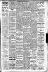 Hamilton Herald and Lanarkshire Weekly News Saturday 30 March 1907 Page 3