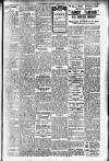 Hamilton Herald and Lanarkshire Weekly News Saturday 20 April 1907 Page 5