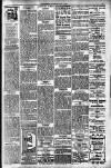 Hamilton Herald and Lanarkshire Weekly News Saturday 20 July 1907 Page 3