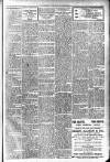 Hamilton Herald and Lanarkshire Weekly News Wednesday 06 January 1909 Page 5