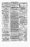 Tenby Observer Thursday 07 January 1869 Page 3