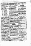 Tenby Observer Thursday 06 July 1871 Page 5