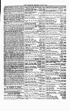 Tenby Observer Thursday 27 June 1872 Page 7