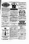 Tenby Observer Thursday 29 January 1874 Page 7