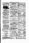 Tenby Observer Thursday 30 April 1874 Page 3