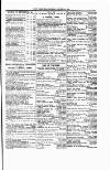 Tenby Observer Thursday 21 January 1875 Page 3