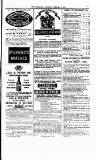 Tenby Observer Thursday 04 February 1875 Page 7