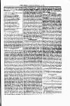 Tenby Observer Thursday 18 February 1875 Page 5