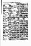 Tenby Observer Thursday 18 March 1875 Page 3