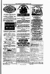 Tenby Observer Thursday 25 March 1875 Page 7
