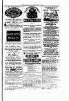 Tenby Observer Thursday 15 April 1875 Page 7