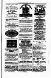 Tenby Observer Thursday 20 May 1875 Page 3