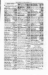 Tenby Observer Thursday 02 September 1875 Page 3