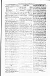 Tenby Observer Thursday 13 January 1876 Page 5