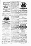 Tenby Observer Thursday 10 February 1876 Page 7