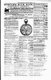 Tenby Observer Thursday 30 March 1876 Page 3