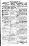 Tenby Observer Thursday 05 October 1876 Page 3