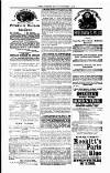 Tenby Observer Thursday 05 October 1876 Page 7