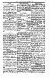 Tenby Observer Thursday 12 October 1876 Page 4