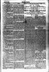 Tenby Observer Thursday 10 January 1884 Page 7