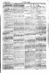 Tenby Observer Thursday 24 January 1884 Page 7