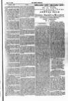 Tenby Observer Thursday 13 March 1884 Page 7