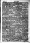 Tenby Observer Thursday 29 January 1885 Page 5