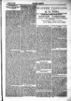 Tenby Observer Thursday 29 January 1885 Page 7