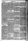 Tenby Observer Thursday 06 January 1887 Page 5