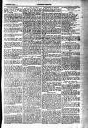 Tenby Observer Thursday 06 January 1887 Page 7