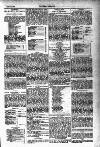 Tenby Observer Thursday 16 June 1887 Page 5