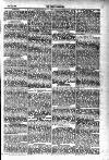 Tenby Observer Thursday 16 June 1887 Page 7