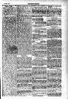 Tenby Observer Thursday 23 June 1887 Page 7