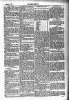 Tenby Observer Thursday 11 August 1887 Page 5