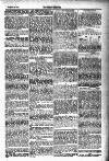 Tenby Observer Thursday 18 August 1887 Page 5