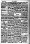 Tenby Observer Thursday 17 November 1887 Page 7