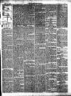 Bridgwater Mercury Wednesday 10 April 1878 Page 5