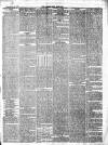 Bridgwater Mercury Wednesday 25 December 1878 Page 3