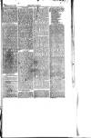 Abergavenny Chronicle Saturday 13 January 1872 Page 7