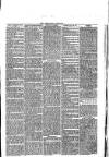 Abergavenny Chronicle Saturday 23 August 1873 Page 3