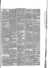 Abergavenny Chronicle Saturday 23 August 1873 Page 7