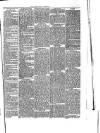 Abergavenny Chronicle Saturday 11 October 1873 Page 3