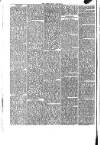 Abergavenny Chronicle Saturday 11 April 1874 Page 6